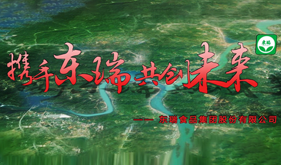 东瑞股份IPO宣传片