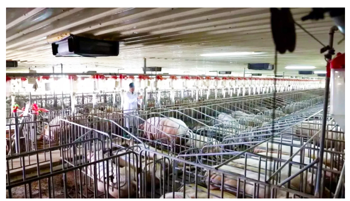 1618537939383389.jpg 5.jpg